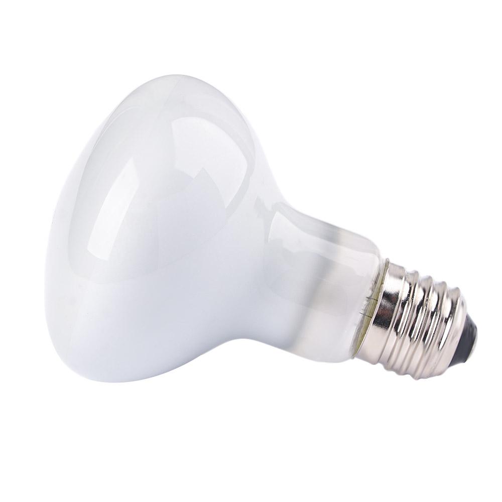 Лампа-обогреватель для рептили – обзор и цена Basking Bulb Halogen