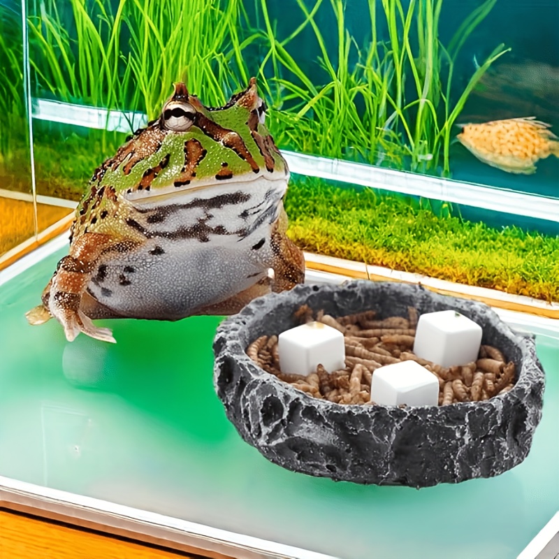 6 шт. камней для грызения для  – обзор и цена Calcium Powder Reptile