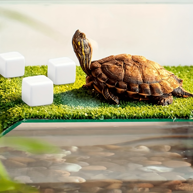 6 шт. камней для грызения для  – обзор и цена Calcium Powder Reptile