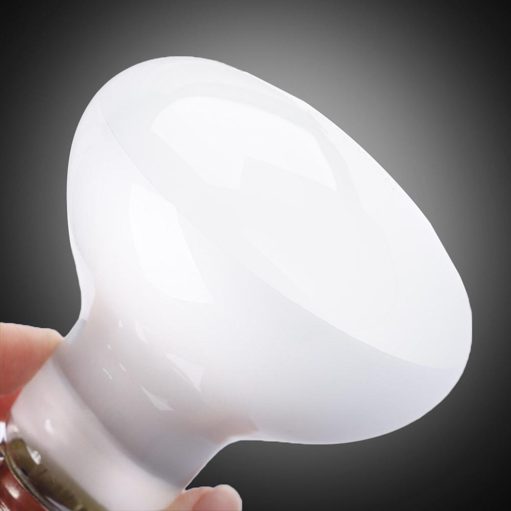 Контроллер температуры для обо – обзор и цена Basking Bulb Halogen