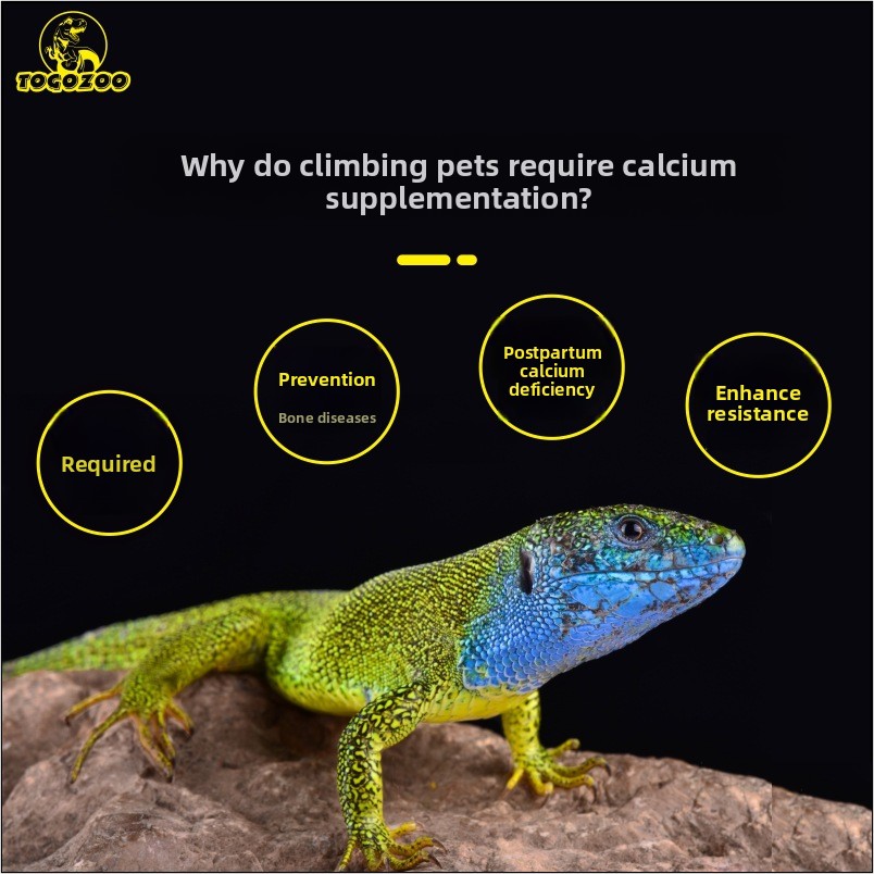 TOGOZOO WILDCAL Порошок кальци – обзор и цена Calcium Powder Reptile