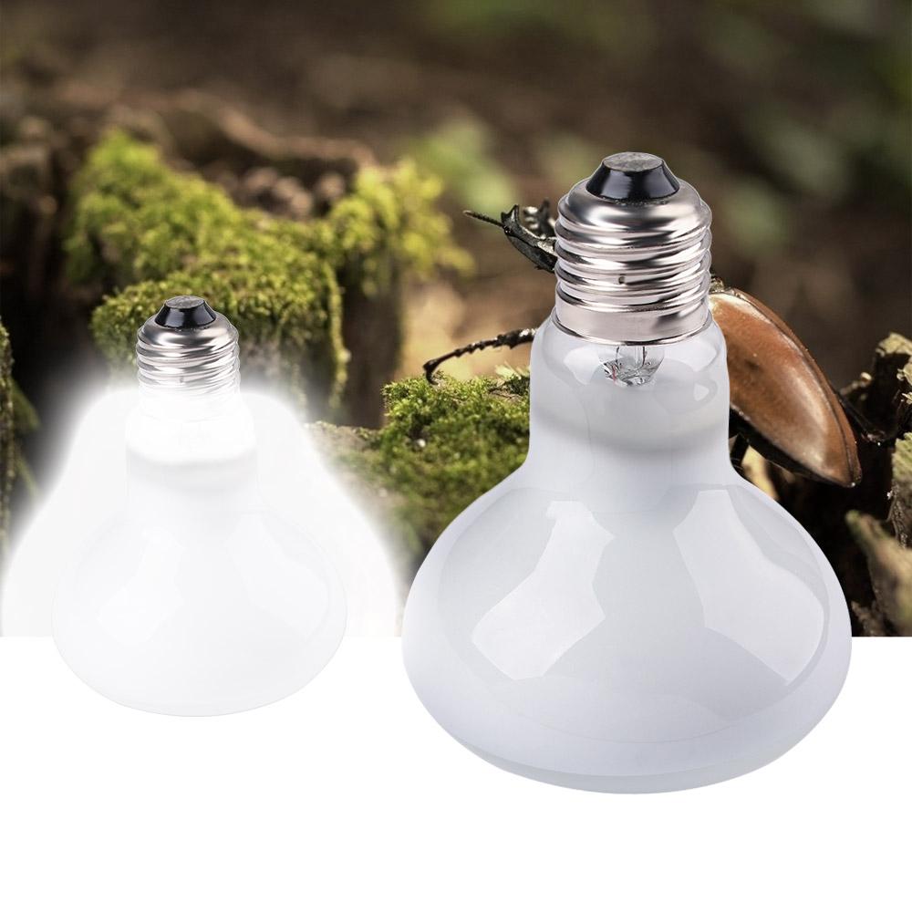Терморегулятор для амфибий, га – обзор и цена Basking Bulb Halogen