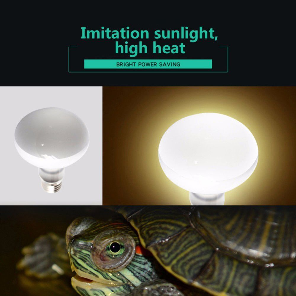 Терморегулятор для амфибий, га – обзор и цена Basking Bulb Halogen