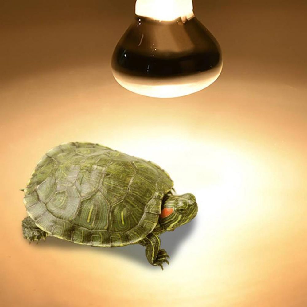 Лампа обогрева для амфибий, га – обзор и цена Basking Bulb Halogen