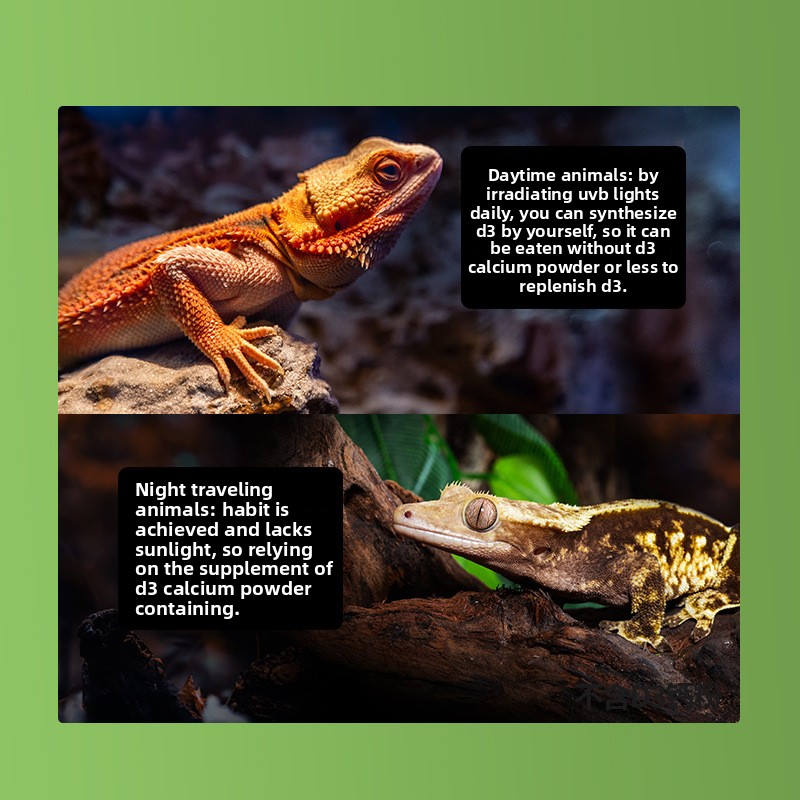 Порошок кальция для рептилий R – обзор и цена Calcium Powder Reptile