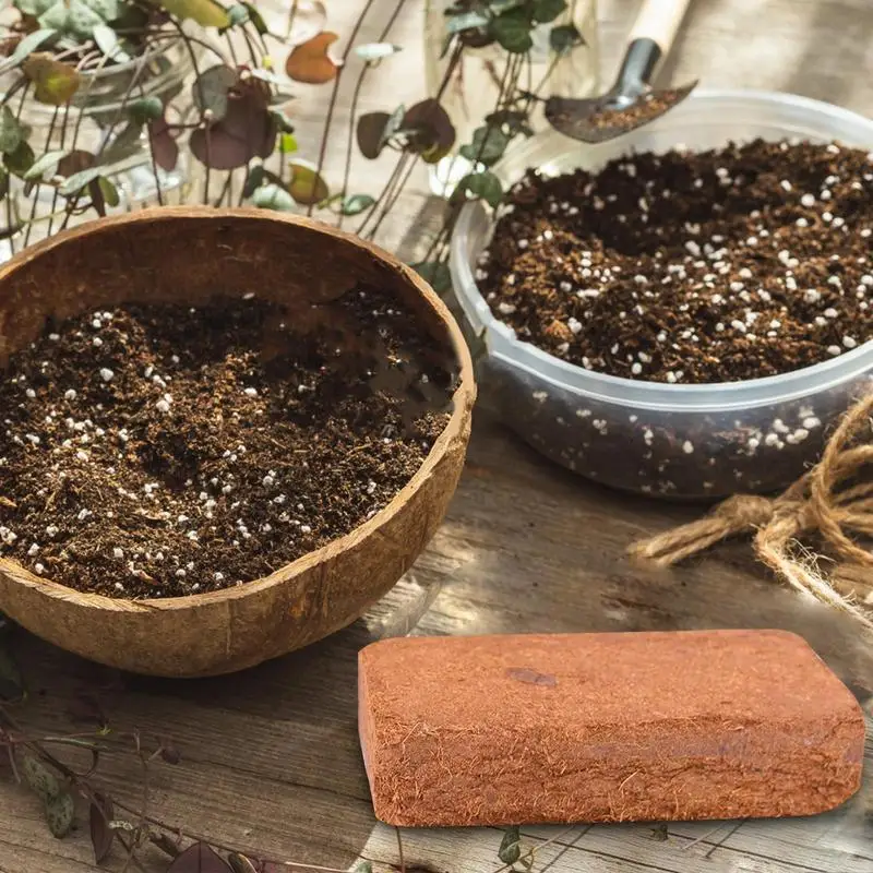 Рептилия Кокосовая почва Натур – обзор и цена Substrate Coconut Fiber